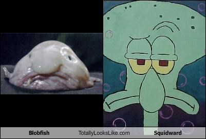 Blobfish Totally Looks Like Squidward