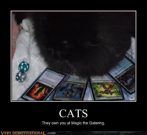 Black Cat, Black Magic (the Gathering)