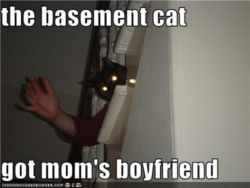 the basement cat   got mom's boyfriend