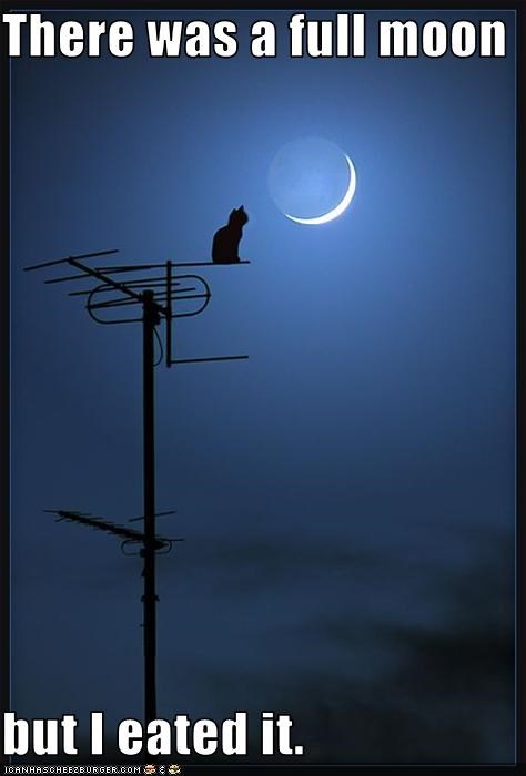 There was a full moon  but I eated it.