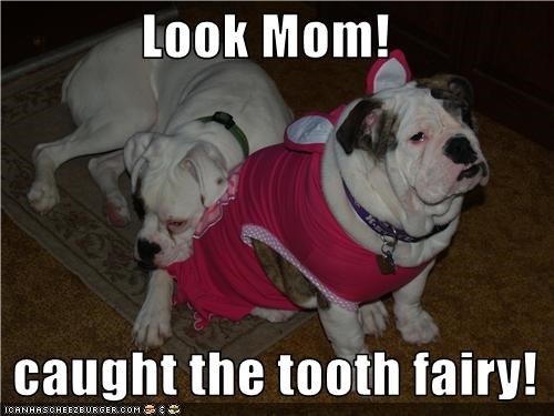 Look Mom!  I caught the tooth fairy!