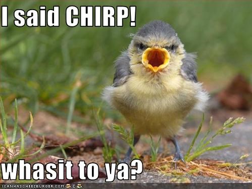 I said CHIRP!  whasit to ya?