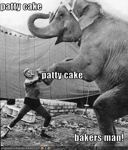 patty cake patty cake  bakers man!