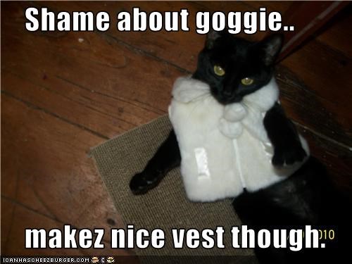 Shame about goggie..      makez nice vest though.