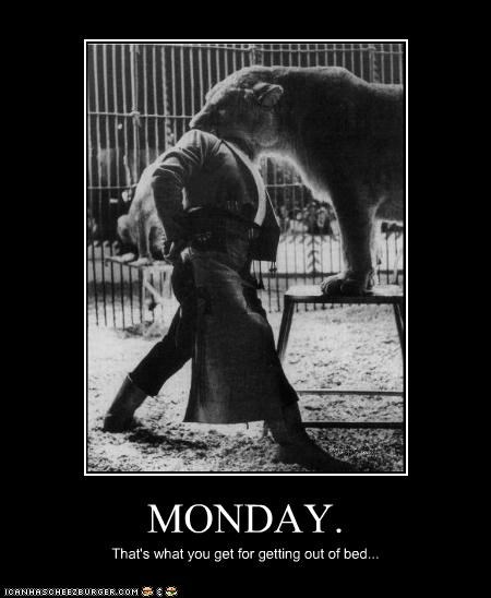 MONDAY.