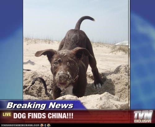 Breaking News - DOG FINDS CHINA!!!