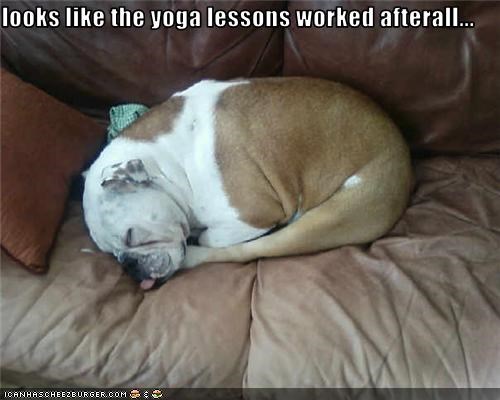 looks like the yoga lessons worked afterall...