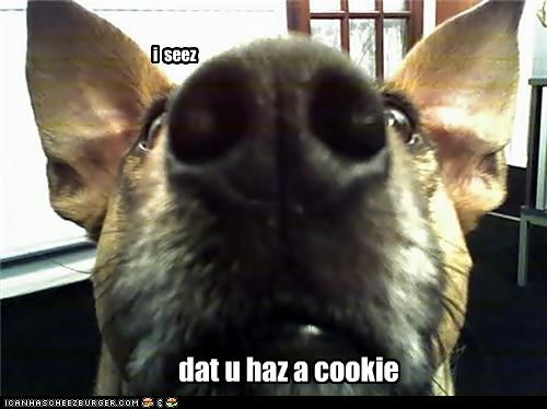 i seez