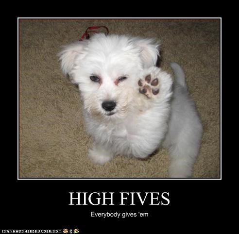 HIGH FIVES