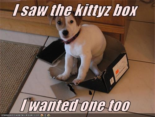 I saw the kittyz box  I wanted one too