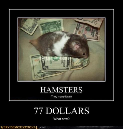 77 DOLLARS
