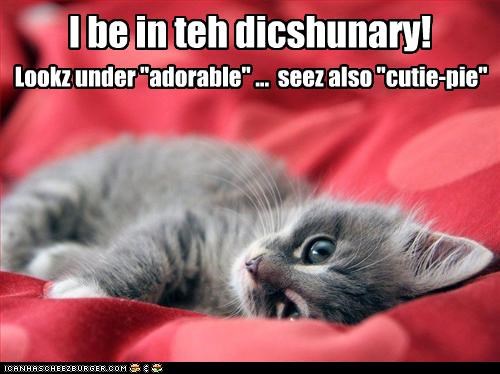 I be in teh dicshunary!