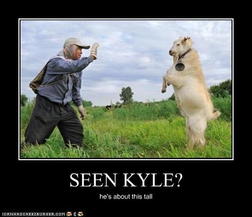 SEEN KYLE?