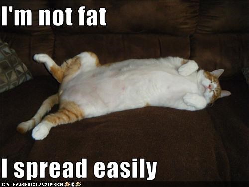 I'm not fat  I spread easily