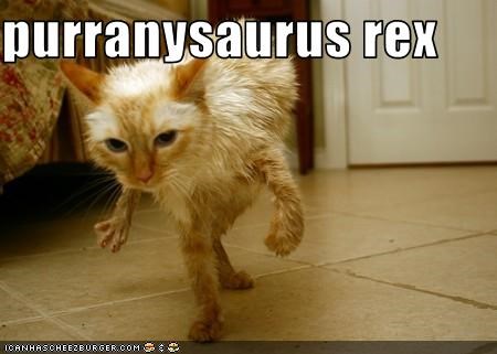 purranysaurus rex