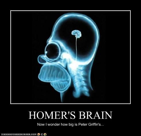 HOMER'S BRAIN