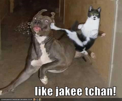 like jakee tchan!
