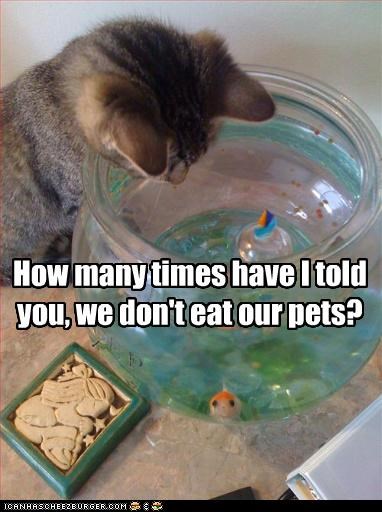 How many times have I told you, we don't eat our pets?