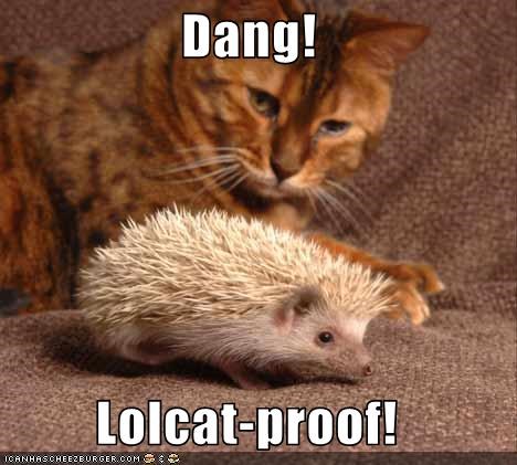 Dang!  Lolcat-proof!