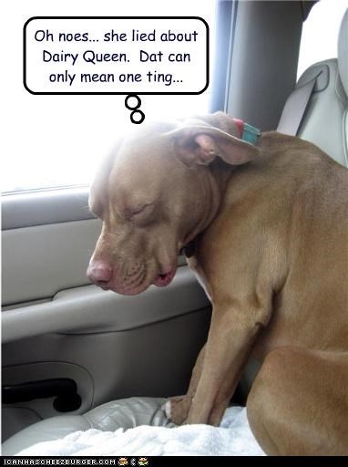 Oh noes... she lied about Dairy Queen.  Dat can only mean one ting...
