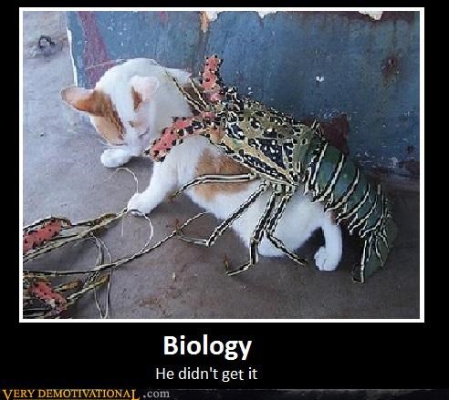 Science Is Not a Lobsters Strong Suit
