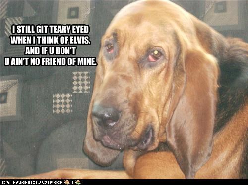 I STILL GIT TEARY EYED WHEN I THINK OF ELVIS. AND IF U DON'T U AIN'T NO FRIEND OF MINE.