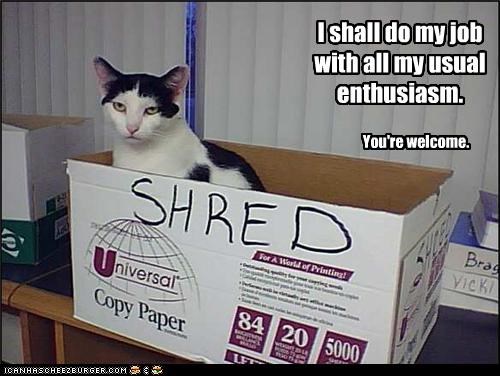 I shall do my job with all my usual enthusiasm.