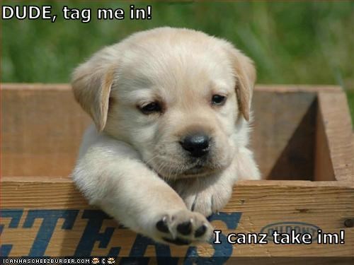 DUDE, tag me in!  I canz take im!