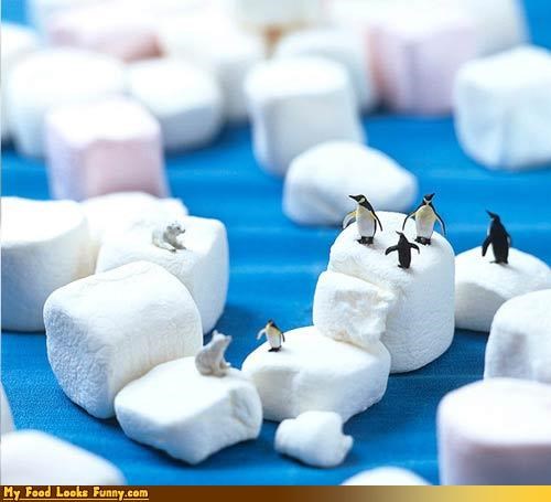 Marshmallow Icebergs