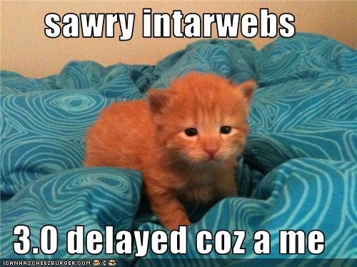 sawry intarwebs  3.0 delayed coz a me