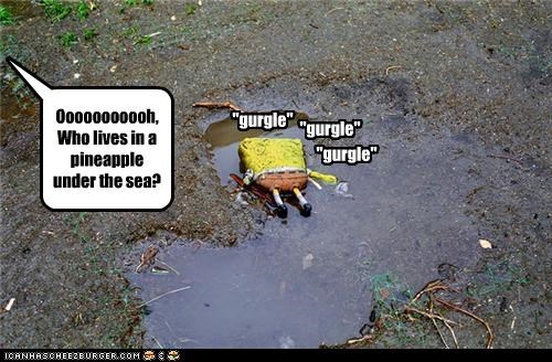 Ooooooooooh, Who lives in a pineapple under the sea?