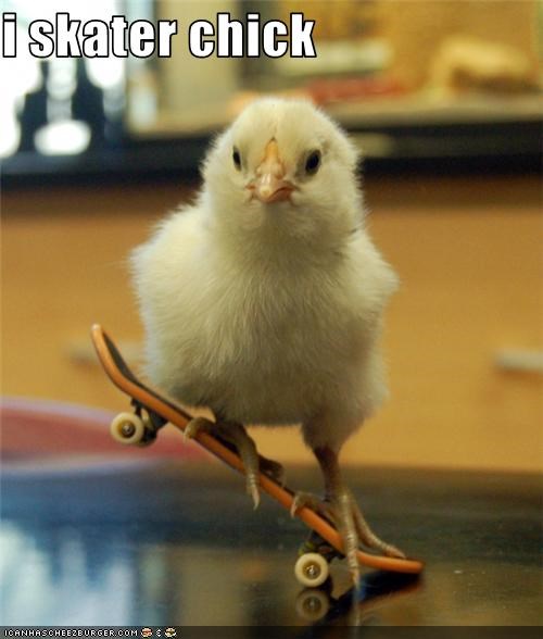 i skater chick