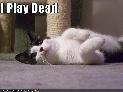 I Play Dead