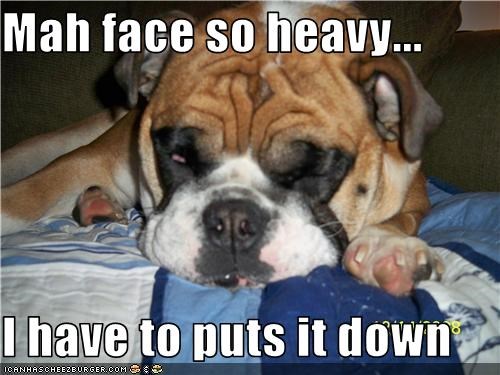 Mah face so heavy...  I have to puts it down