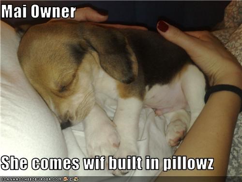 Mai Owner   She comes wif built in pillowz