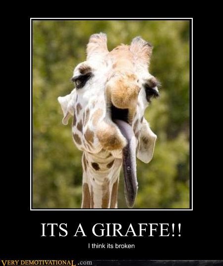 Giraffe Malfunction