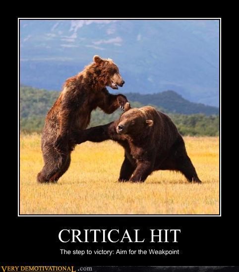 Bears Are Good at Punching
