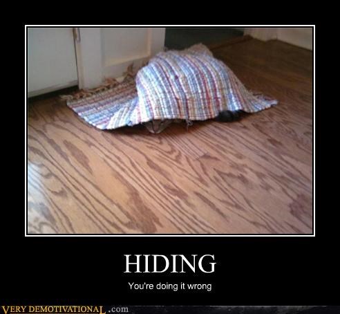 Where's the Cat?