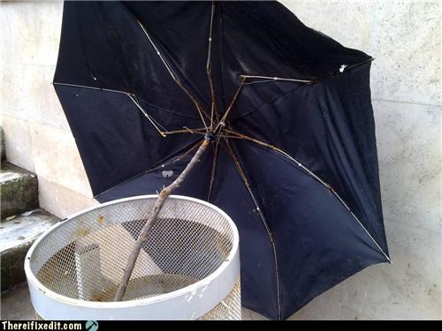 Who Throws Out A Perfectly Good Umbrella?