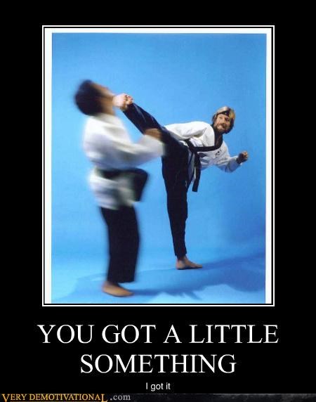 Chuck Norris Is So Helpful