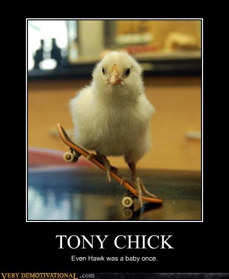 Sick Moves Little Bird