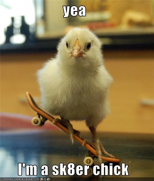 yea  I'm a sk8er chick