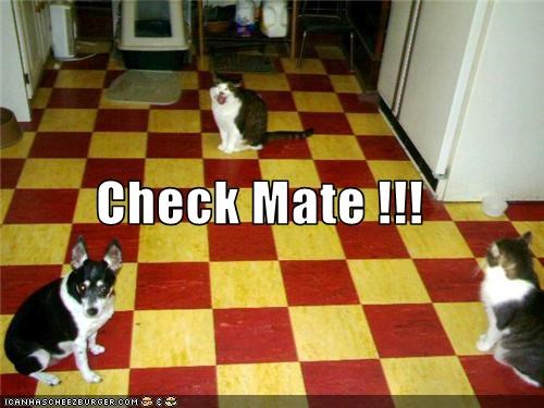 Check Mate !!!