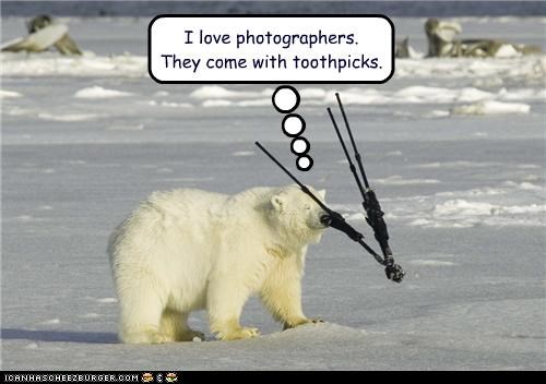 I love photographers.  They come with toothpicks.