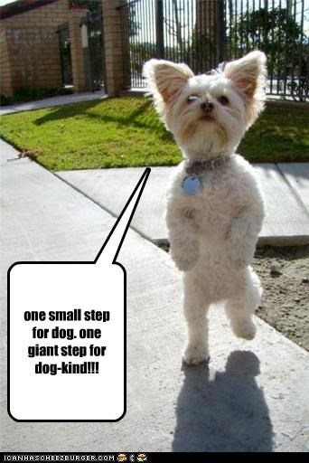 one small step for dog. one giant step for dog-kind!!!