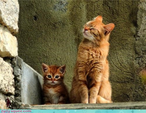 Like Father, Like Son