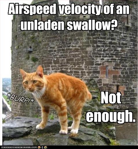 Airspeed velocity of an unladen swallow?
