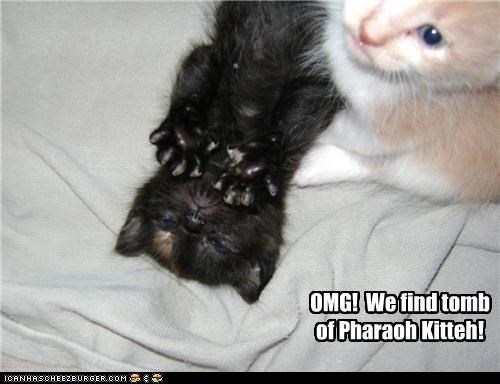 Pharaoh Kitteh