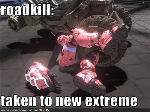 roadkill:  taken to new extreme