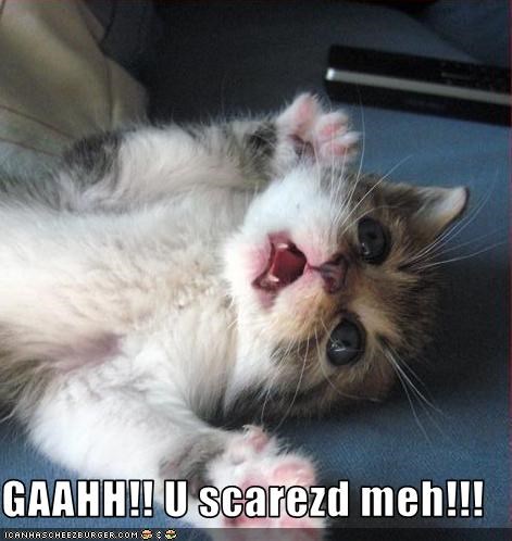 GAAHH!! U scarezd meh!!!